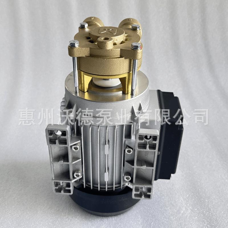 增压泵Y-4081.2013卧式电动耐高温导热油模温机工业配套水泵 - 图0