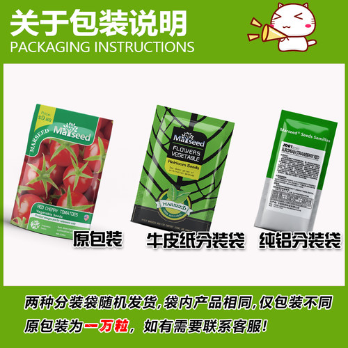 【MARSEED火星家】彩包芦笋种子籽孑蔬菜四季阳台盆栽多年生 - 图0