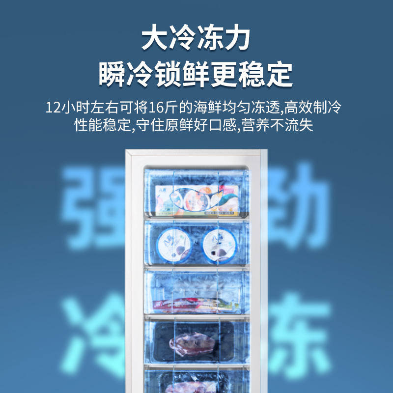 荣事达立式冰柜家用抽屉全冷冻冰箱小型一级能效冷柜母乳储奶保鲜 - 图1