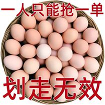 Authentic Soil Eggs Prose Farmhouse Fresh Earth Eggs Bulk Up Countryside Dumb Eggs Grass Chicken Chai Eggs Whole Boxes