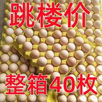 Authentic native eggs Fresh farmhouse Scattered Breeding Ground Eggs Wild Natural Grass Eggs 10 20 30 30 40