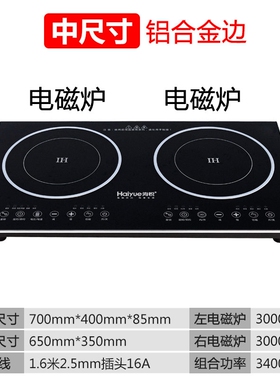 海悦双灶嵌入式电磁炉双头电陶炉