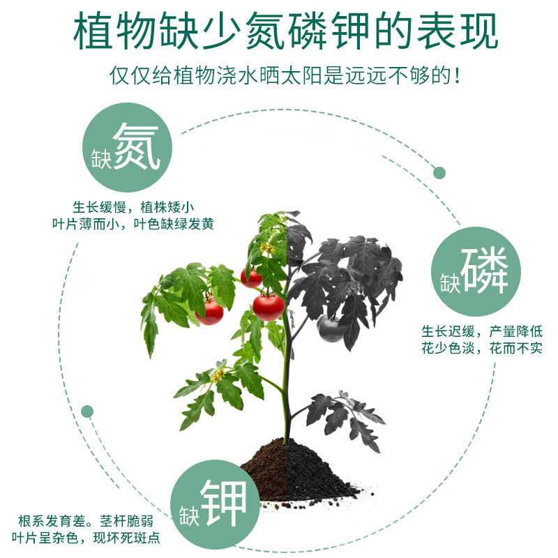 复合肥蔬菜农用种菜花肥水溶肥盆栽植物叶面氮磷钾化肥家用颗粒肥 - 图1