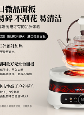 蓝宝悬壶围炉煮茶器W02