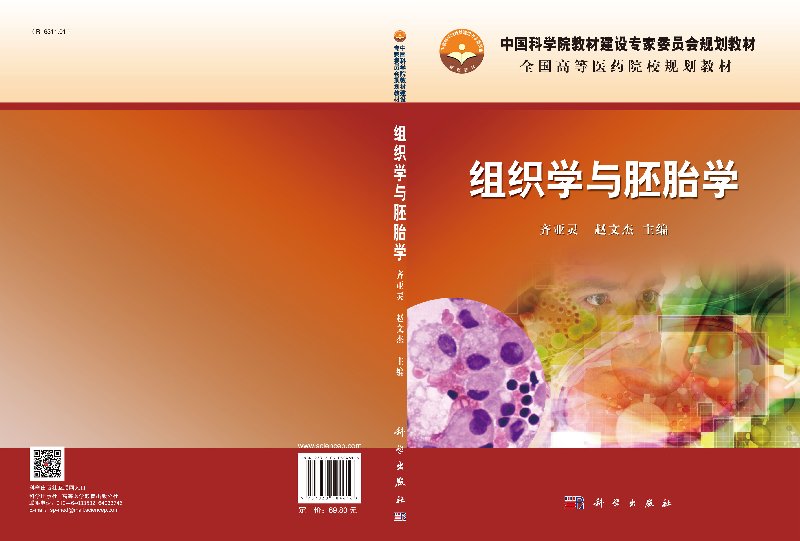 组织学与胚胎学 齐亚灵 赵文杰 主编 研究自卵子受精逐步发育形个体的全过程及成长变化 上皮组织 科学出版社 9787030504616