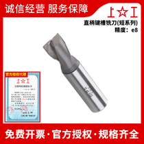 Upper work straight shank keyway milling cutter short series HSS high-speed steel CNC machining centre numerical control milling cutter 3-20mm