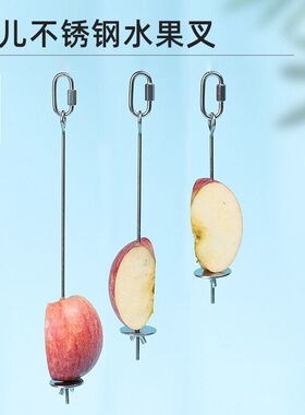 鹦鹉鸟用不锈钢水果蔬菜叉蔬菜挂钩玩具鸟用水果夹喂食器水果叉