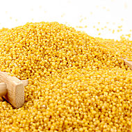 山西有机黄小米900g