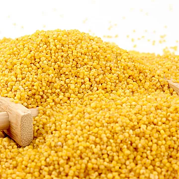 山西有机黄小米900g[10元优惠券]-寻折猪