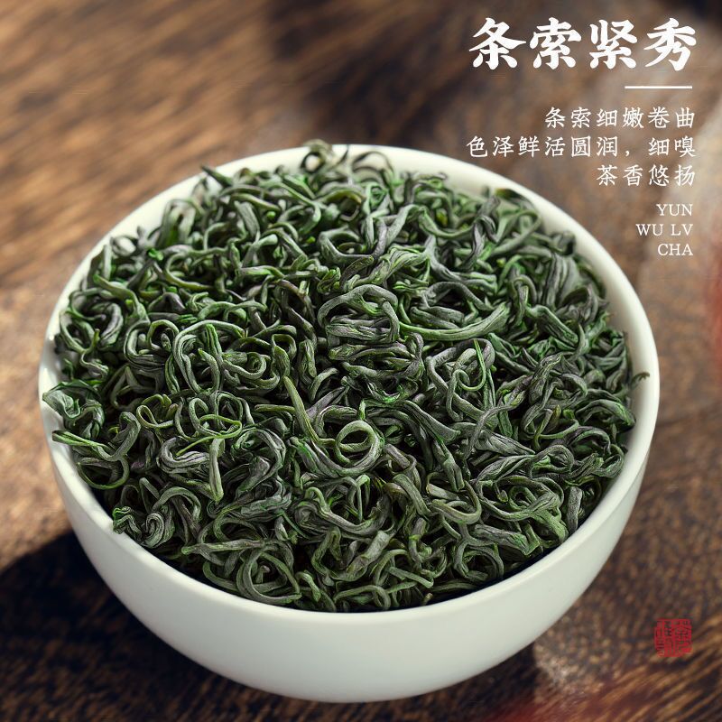 买一送一共500g新茶高山云雾绿茶2024新茶明前日照原产浓香型茶叶 - 图0