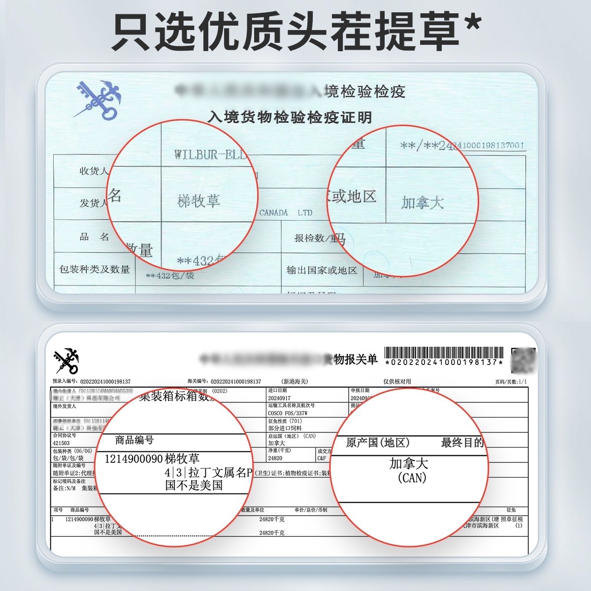 源物派精选提摩西草苜蓿草饼兔子磨牙荷兰猪龙猫零食 7枚/盒 - 图2