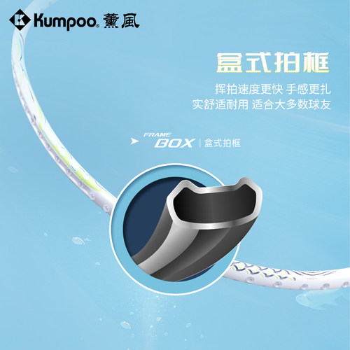 KUMPOO薰风羽毛球拍全碳素专业训练入门级羽拍正品熏风大鱼DS-203 - 图2