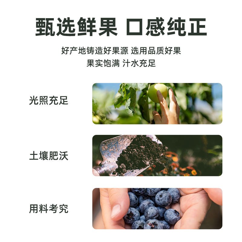 【塞尔维亚国家馆】原装进口丰富维生素果汁饮料鲜果榨取多种口味 - 图1