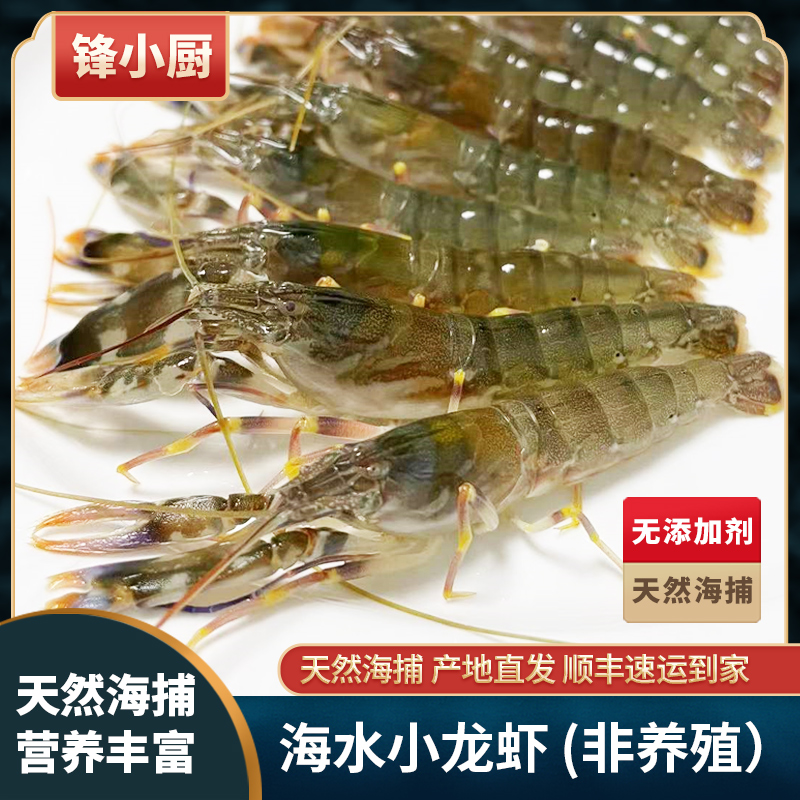 鋒小廚天然海水小龍蝦深海鮮活海鮮珊瑚蝦海蝦_鋒小廚旗艦店_水產肉類_新鮮蔬果_熟食