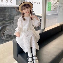 Autumn Clothing Girl Fared Lace Dress Code Dress 2023 New Girl Pure Cotton Embroidered Dress Child White Princess Dress