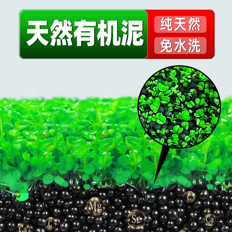 水草泥鱼缸专用免洗陶粒砂水草水藻泥不粉化造景液体肥料营养液,淘宝优惠券,粉丝福利购,淘宝优惠卷