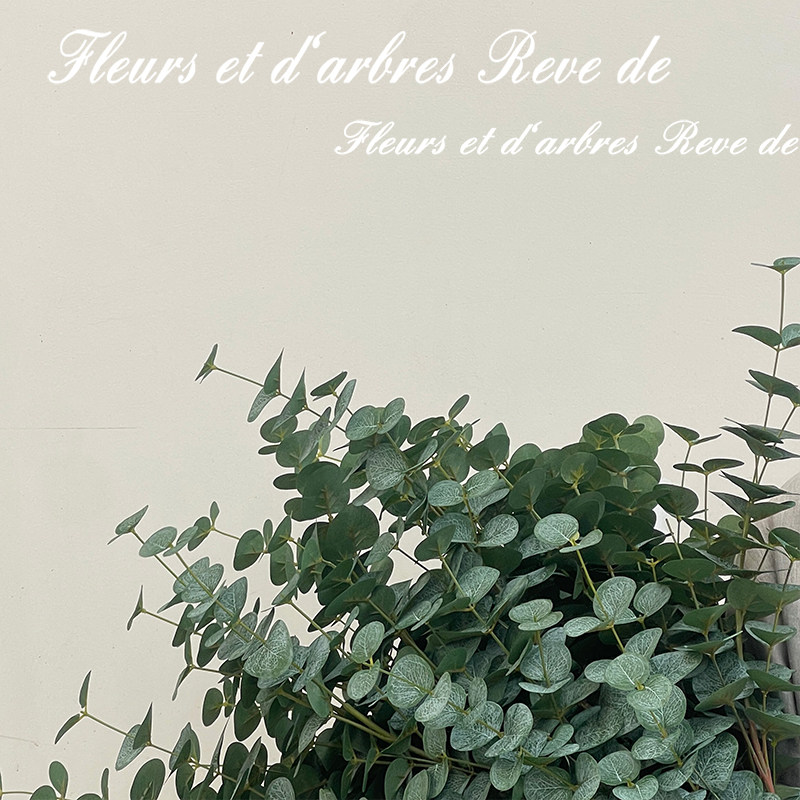 尤加利叶仿真花假花干花家居装饰摆件客厅餐桌花艺插花束拍摄道具,淘宝优惠券,粉丝福利购,淘宝优惠卷