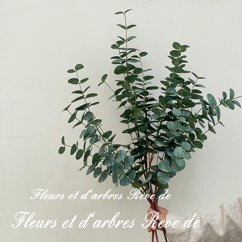 尤加利叶仿真花假花干花家居装饰摆件客厅餐桌花艺插花束拍摄道具,淘宝优惠券,粉丝福利购,淘宝优惠卷