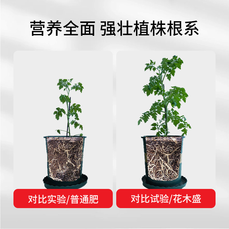 【花木盛达人专属草莓型】家庭种植草莓盆栽通用草莓型营养颗粒,淘宝优惠券,粉丝福利购,淘宝优惠卷