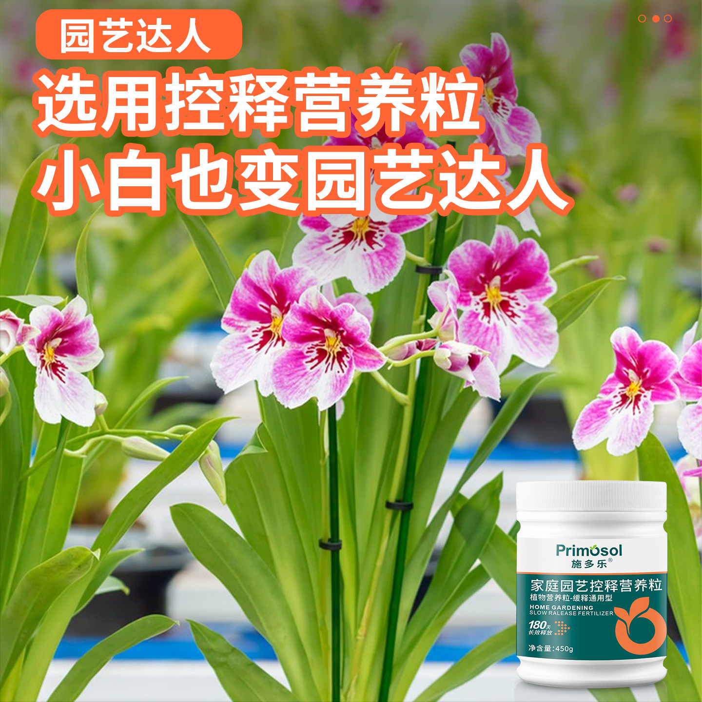 施多乐家用绿植花卉缓释肥颗粒通用型蝴蝶兰花多肉氮磷钾控释肥,淘宝优惠券,粉丝福利购,淘宝优惠卷