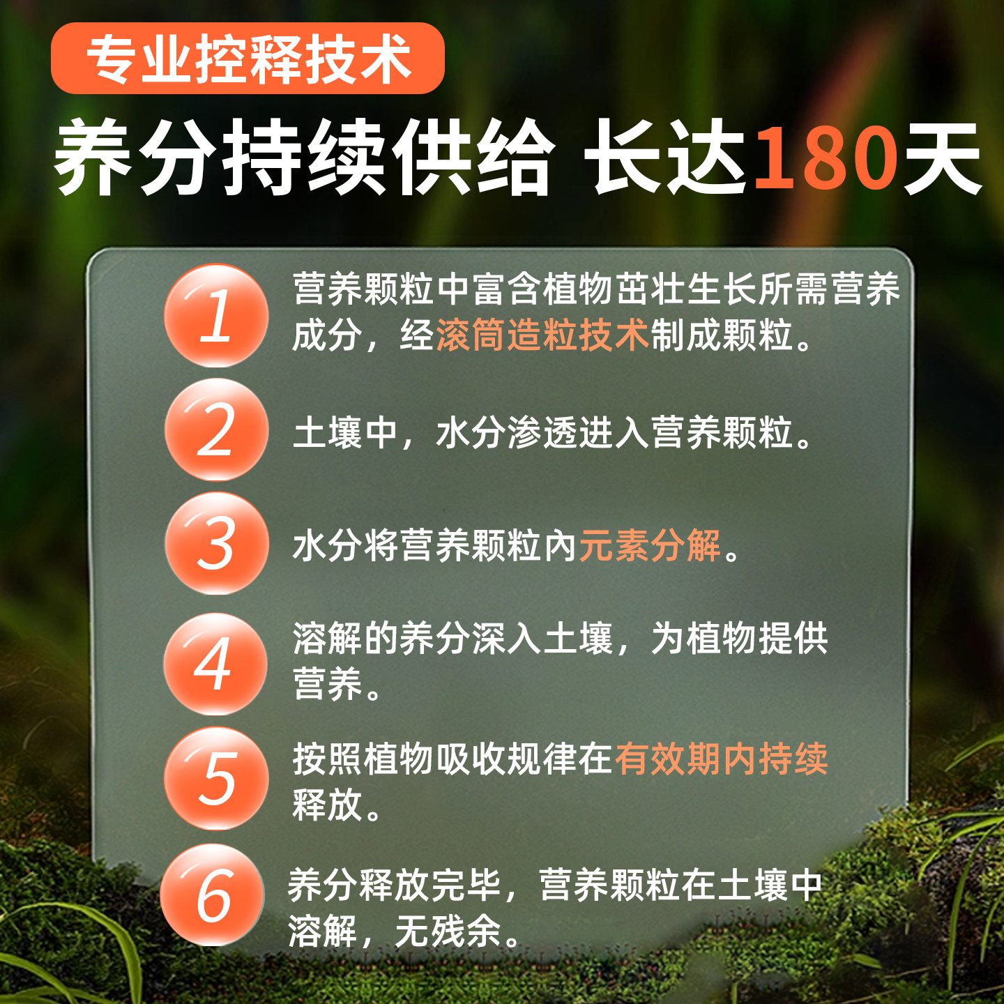 施多乐家用绿植花卉缓释肥颗粒通用型蝴蝶兰花多肉氮磷钾控释肥,淘宝优惠券,粉丝福利购,淘宝优惠卷