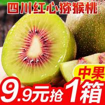 Sichuan Red Heart Chic Exotic Fruits Fresh When Season Fruit Chisoco Should Season Pregnant Womans Golden Monkey Peach Whole Box