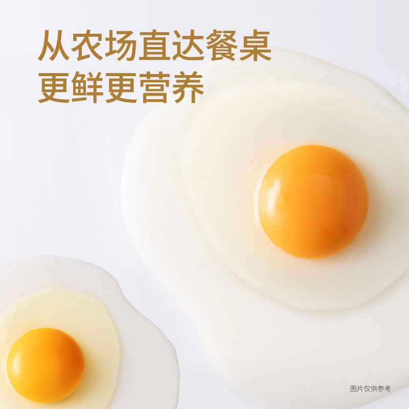 山春牧场品牌鲜鸡蛋40枚无沙门氏菌无抗生素无腥营养更安全更放心