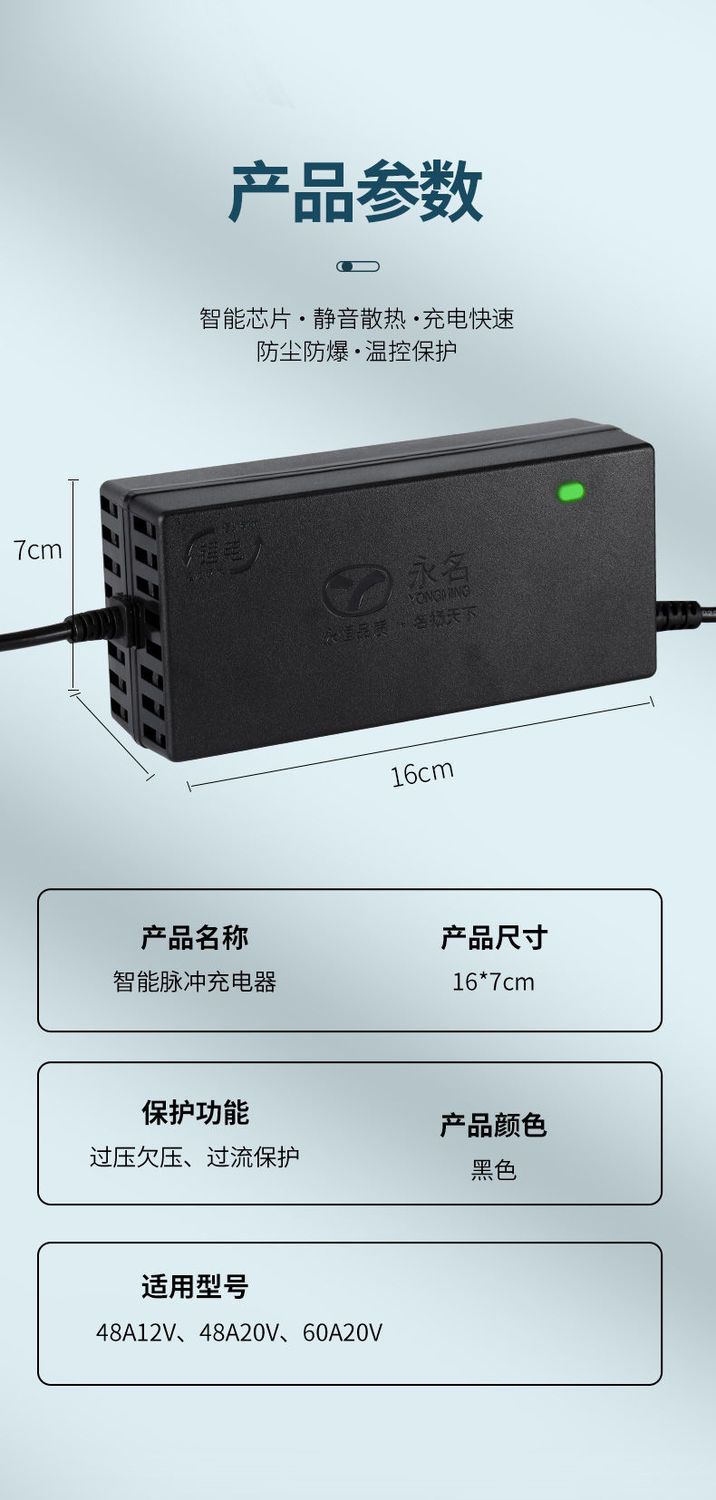 永名锂电池充电器36V48V60V24V平衡车爱玛雅迪绿能小刀电动车通用 - 图3