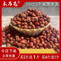 Northeast Great Hazelnut Great Fruity Sweet Taste Fresh Thin Leather Iron Ridge Original Taste Nut Hazelnut Sending Clips