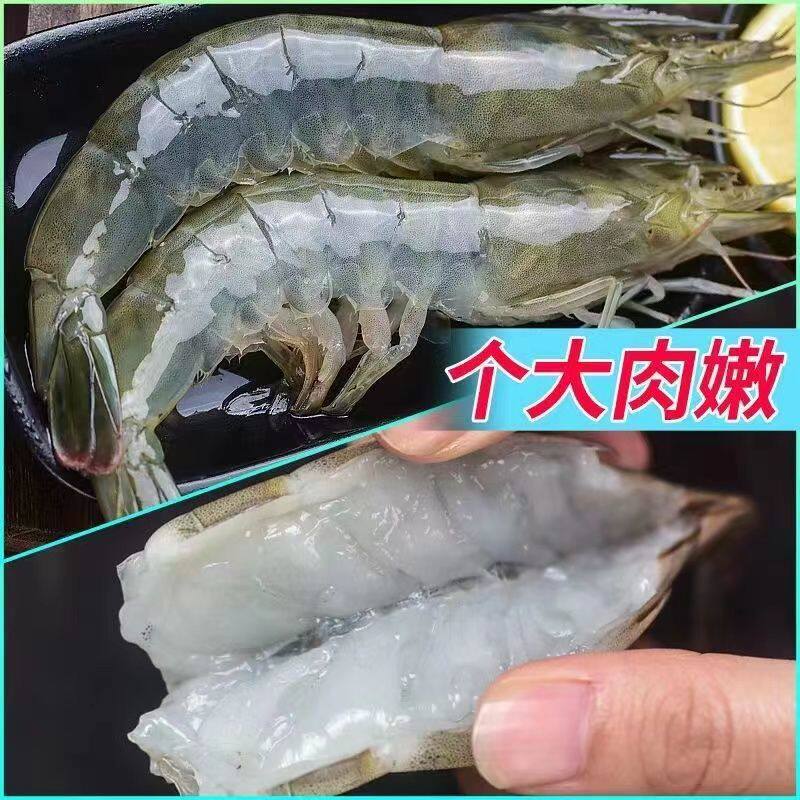 有虾途新鲜青岛大虾一箱鲜虾青虾 端味捷冻虾