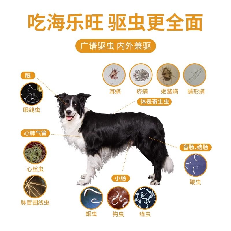 【自营】大宠爱狗狗驱虫药体内外一体海乐旺内驱滴剂宠物狗驱虫药,淘宝优惠券,粉丝福利购,淘宝优惠卷