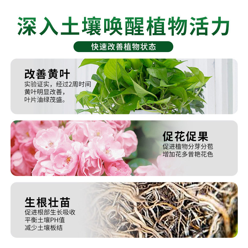 植物营养液通用型花肥家用盆栽发财树富贵竹绿萝水培花卉绿植肥料,淘宝优惠券,粉丝福利购,淘宝优惠卷