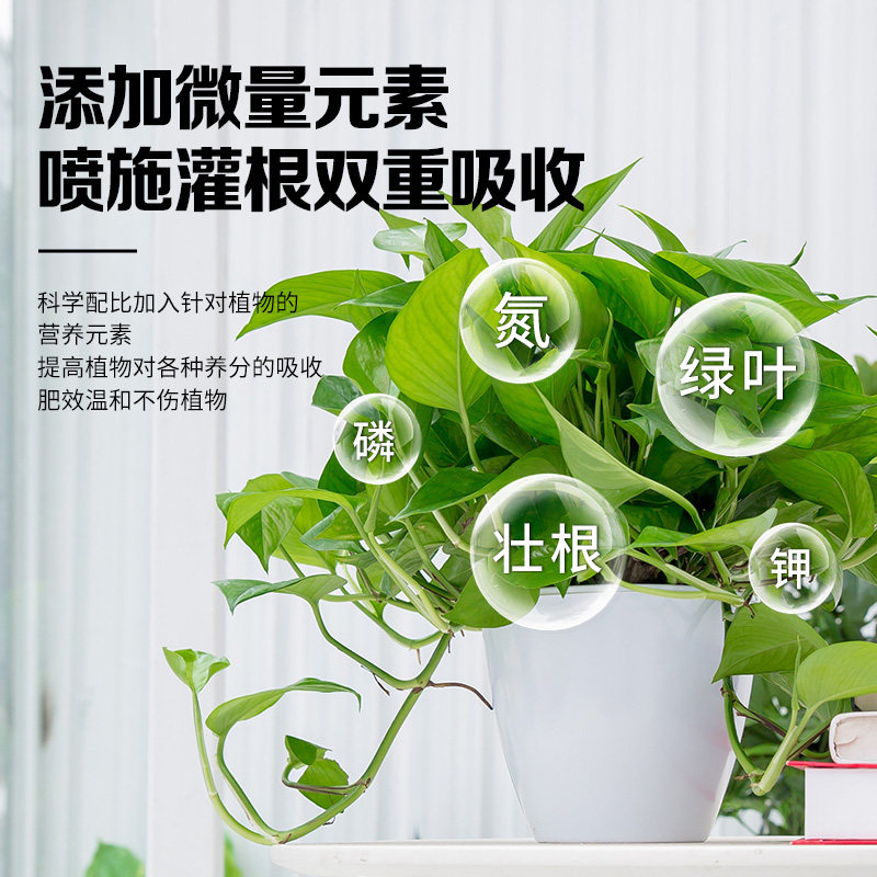 植物营养液通用型花肥家用盆栽发财树富贵竹绿萝水培花卉绿植肥料,淘宝优惠券,粉丝福利购,淘宝优惠卷