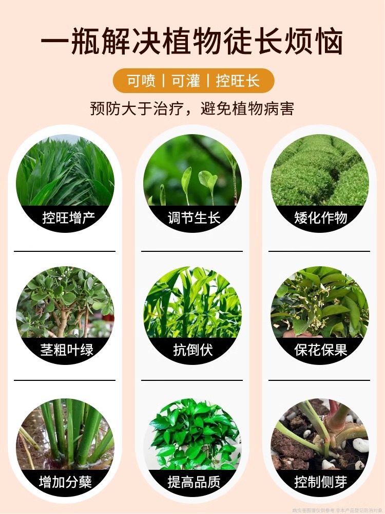 国光多效唑玉米花生多肉植物果树控旺促花促芽多效挫矮化剂矮壮素 - 图2