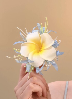 夏日拍照黄色鸡蛋花发夹