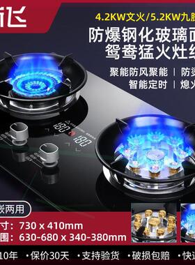 天然气灶双灶家用猛火液化气灶台嵌入式燃气灶煤气炉具双头