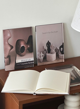 吃瓜少女侘寂风花瓶本子卡纸桌面装饰品家居艺术摆设拍照道具复古