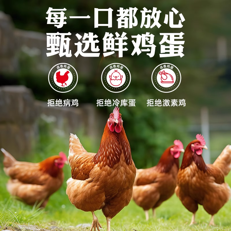 乡巴佬卤蛋五香盐焗鸡蛋即食茶叶蛋早餐休闲零食小吃整箱批发