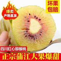 Sichuan Red Heart Chic Exotic Fruit When Season Fresh Pregnant Woman Fruit Chishuaq Kiwi Fruit Zhengzong Mi Monkey Peach Big Fruit Whole Box