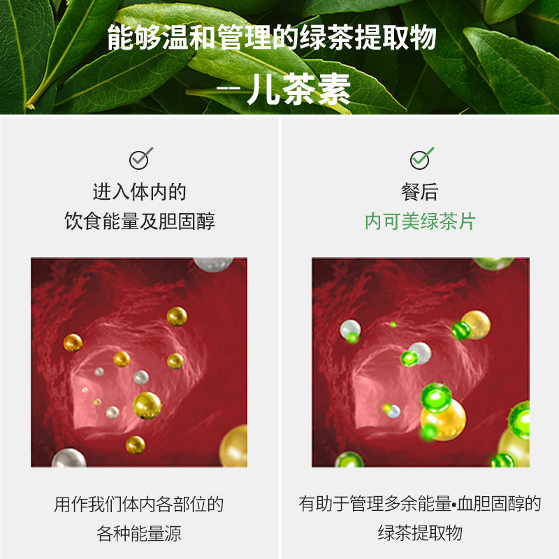  VITALBEAUTIE海外膳食纤维/果蔬纤维
