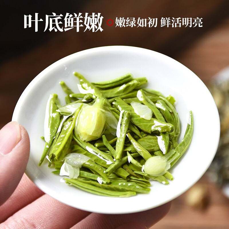 川派茉莉花茶2024新茶茉莉飘雪浓香型毛尖绿茶散装袋装茶叶250g - 图2