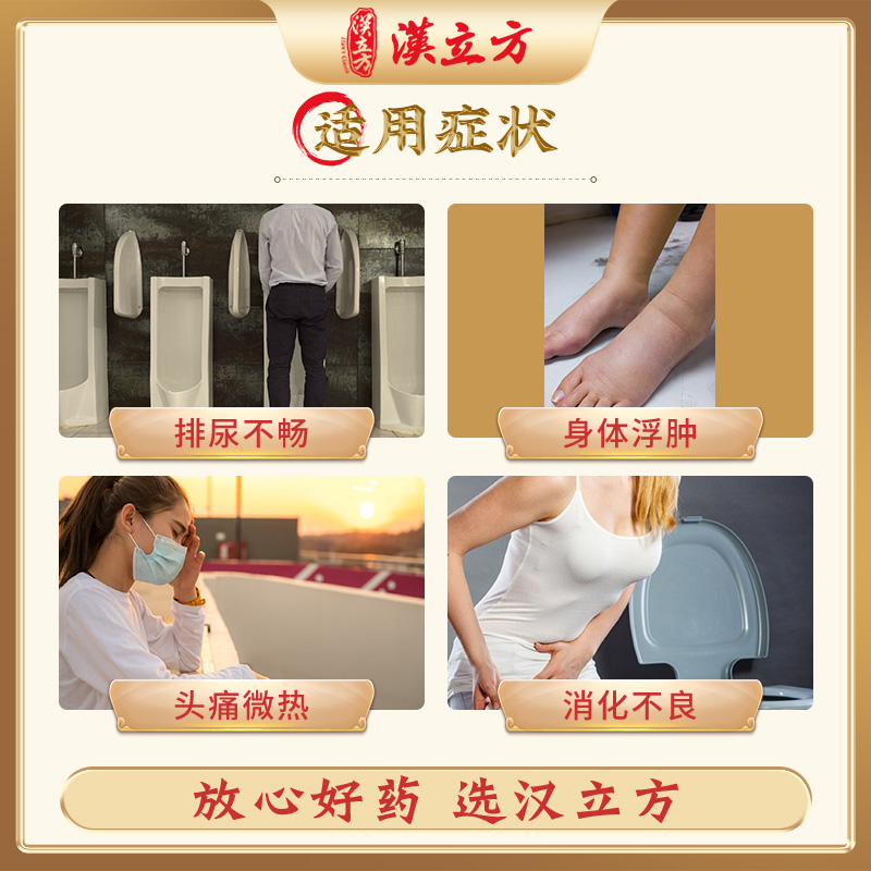 汉立方五苓散健脾祛湿中成药同仁堂调理脾胃利尿去水肿祛湿气肢体