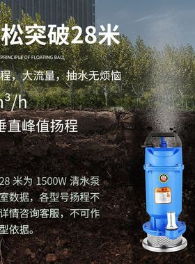 上海人民无刷直流潜水抽水泵48V60V72V通用电动车高扬程农用灌溉