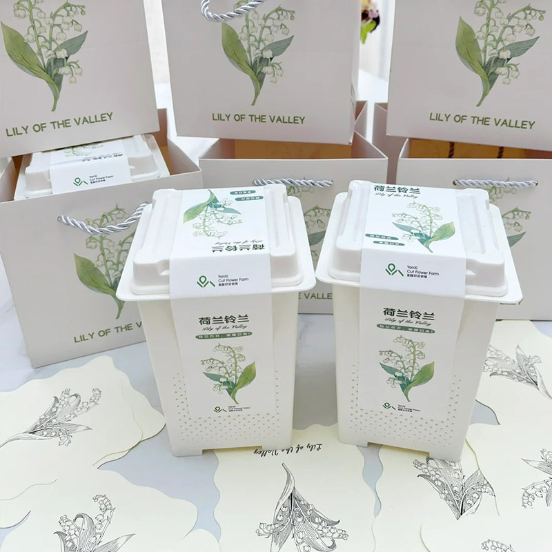 花信铃兰礼盒种植套装进口铃兰精品花多花香易养元旦好礼1盆3芽,淘宝优惠券,粉丝福利购,淘宝优惠卷