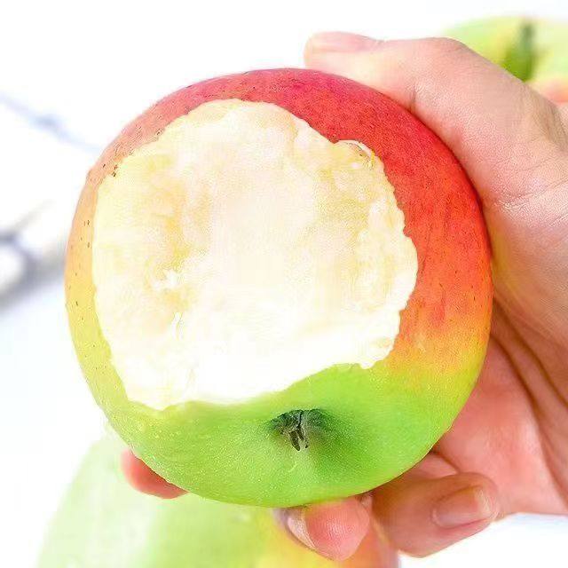 苹果嘎啦5/10斤脆甜非红富士现摘当季新鲜水果不打蜡整箱水果包邮,淘宝优惠券,粉丝福利购,淘宝优惠卷