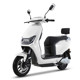 Tailing Little Lion high-quality fenders and fenders