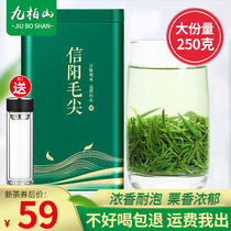 Hairy tip Green tea Xinyang Mao Jian 2023 New tea Rain Former alpine shoots 250g dense fragrant and resistant to the spring tea
