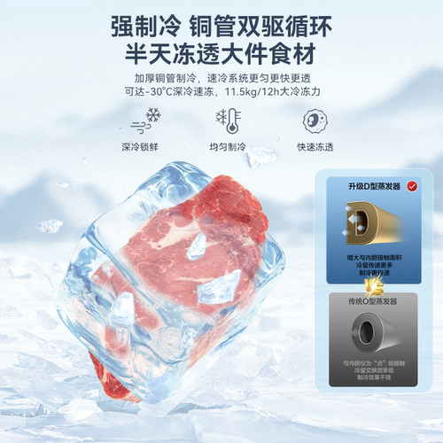 荣事达节能小冰柜家用无霜商用全冷冻冷藏转换两用柜小型冷柜省电 - 图2