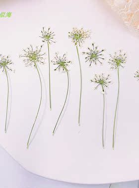 相框美甲拍照脸部装饰花