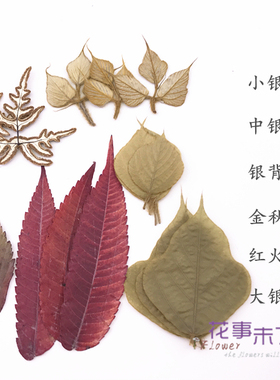 树叶贴画银杏集干花童手工